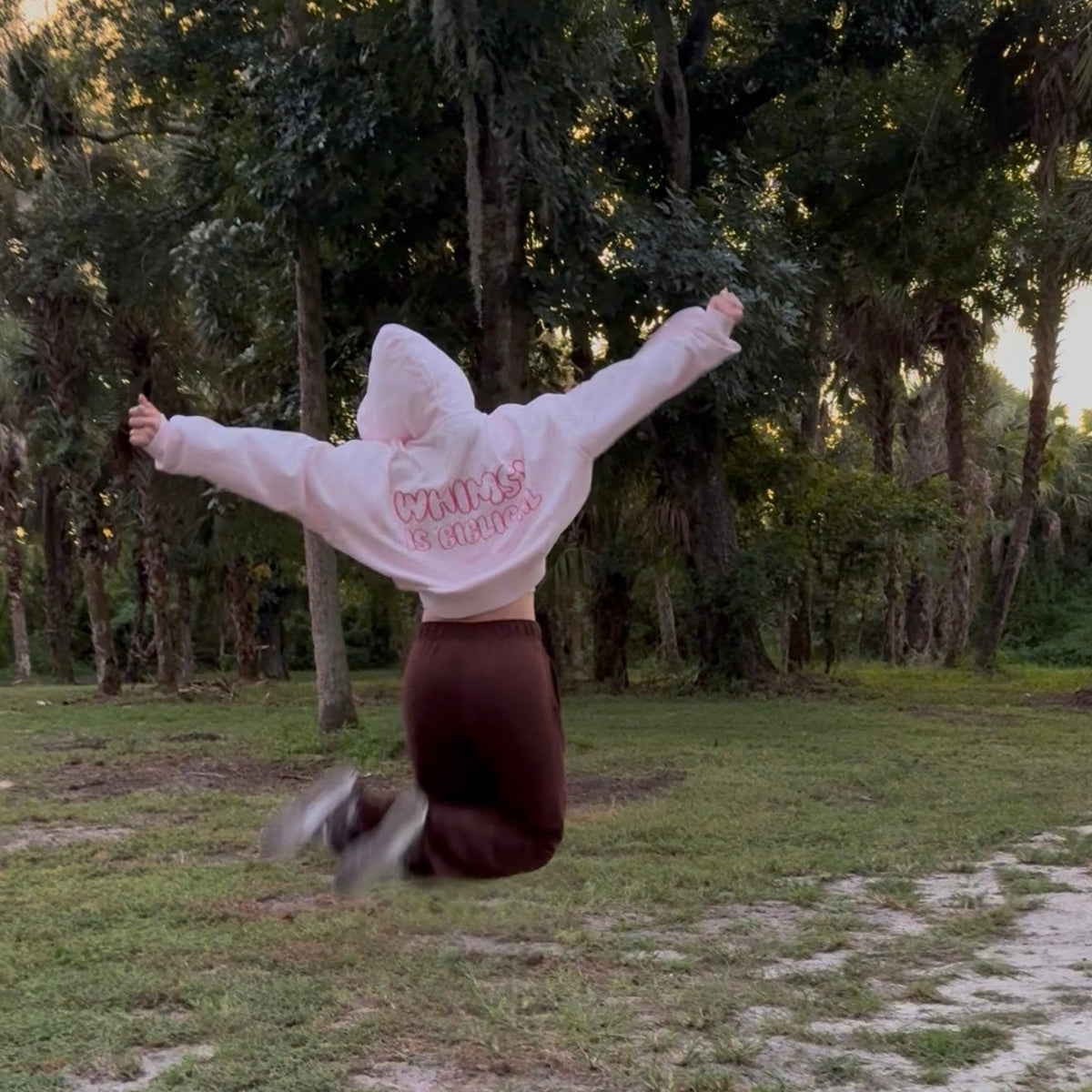 WHIMSY IS BIBLICAL HOODIE!!!!!!!!